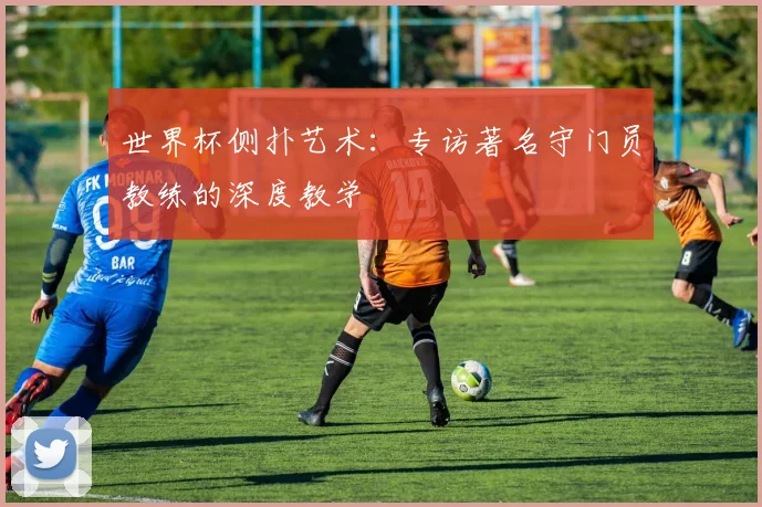 世界杯侧扑艺术：专访著名守门员教练的深度教学
