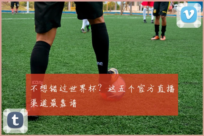 不想错过世界杯?这五个官方直播渠道最靠谱