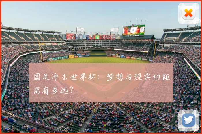 国足冲击世界杯：梦想与现实的距离有多远？