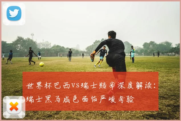 世界杯巴西vs瑞士赔率深度解读：瑞士黑马成色面临严峻考验