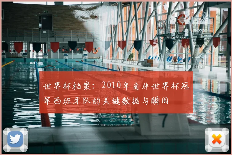 世界杯档案：2010年南非世界杯冠军西班牙队的关键数据与瞬间