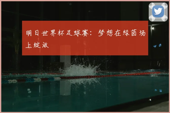 明日世界杯足球赛：梦想在绿茵场上绽放