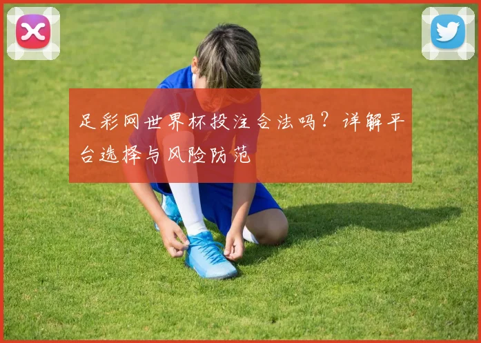 足彩网世界杯投注合法吗?详解平台选择与风险防范