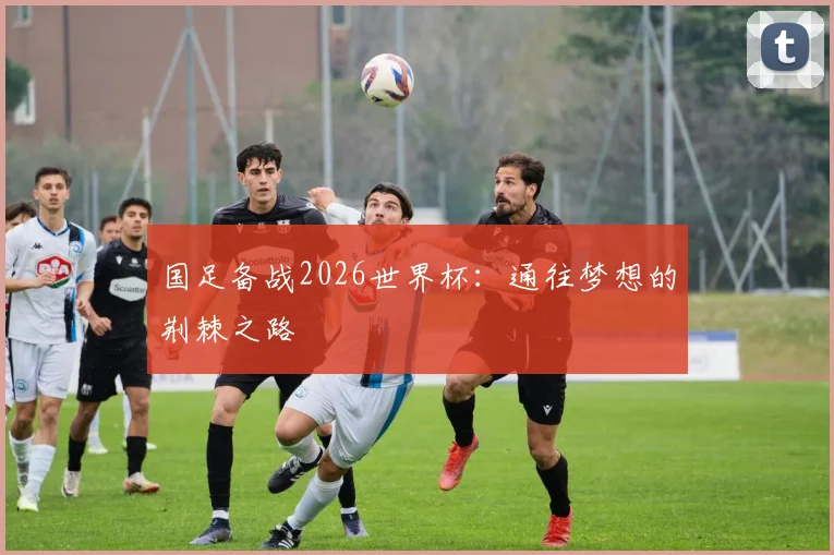 国足备战2026世界杯：通往梦想的荆棘之路